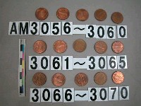 藏品(美國1分硬幣)的圖片